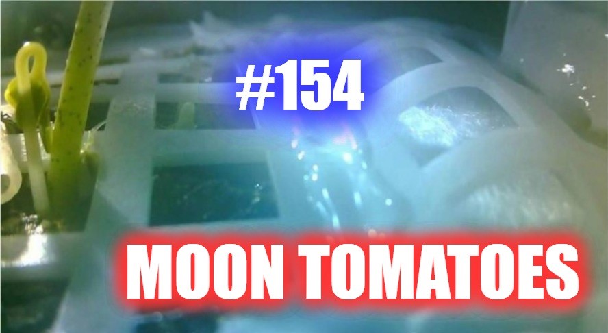 #154- Moon Tomatoes episode artwork